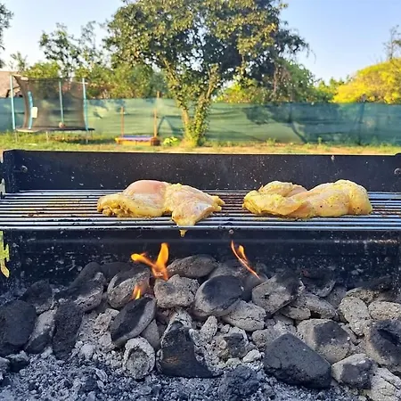 Διαμέρισμα Birs Vendeghaz *