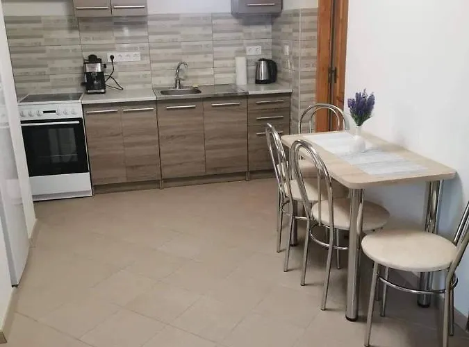 Birs Vendeghaz Tiszafüred